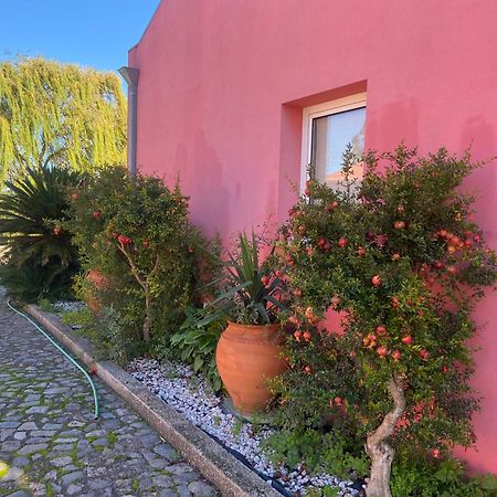 Casa Das Jardas Idanha-a-Nova Εξωτερικό φωτογραφία