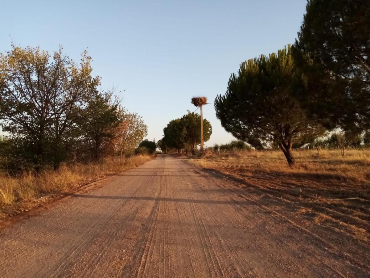 Casa Das Jardas Idanha-a-Nova Εξωτερικό φωτογραφία