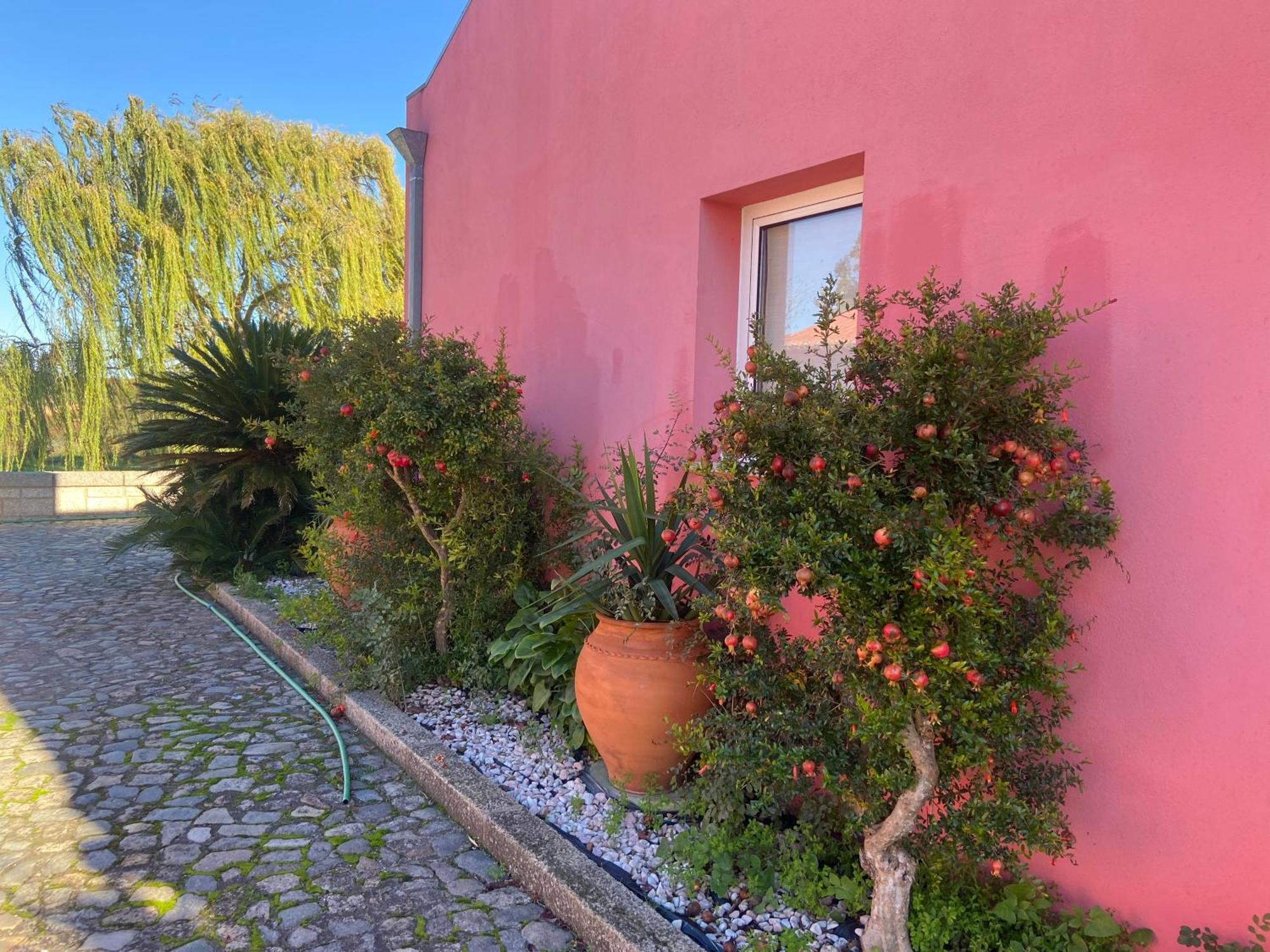Casa Das Jardas Idanha-a-Nova Εξωτερικό φωτογραφία